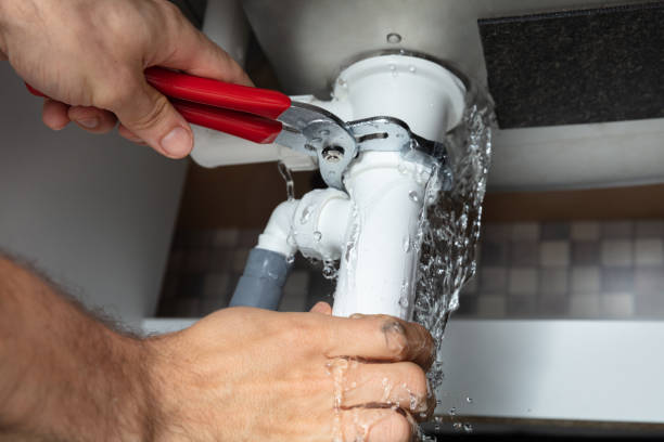 Best Water damage contractors near me  in Rehobeth, AL