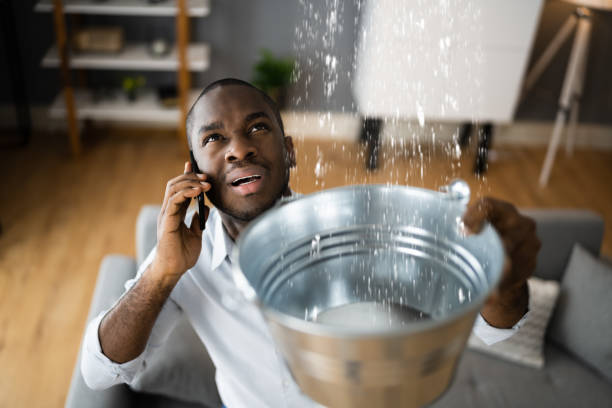 Reliable Rehobeth, AL Water damage restoration Solutions